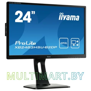 Монитор Iiyama ProLite XB2483HSU-B2DP картинка 2